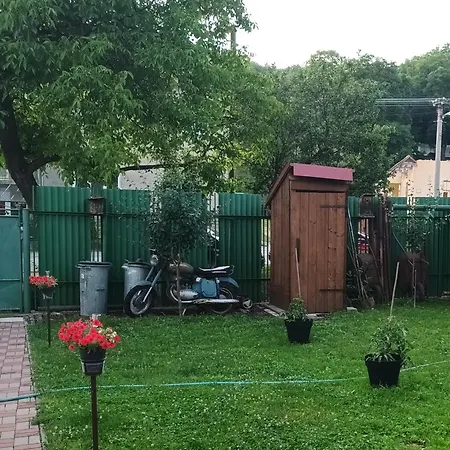 Za Zelenym Plotom *